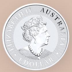 2019 1 oz Australian Silver Kangaroo Coin Silver Coin Ultra Unique and Rare Very Limited Mintage