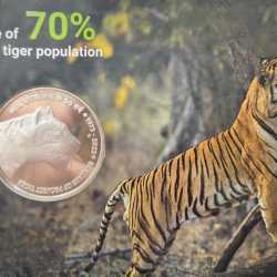 Alternative view of 50 YEARS OF PROJECT TIGER RARE (PROOF SET) HYDERABAD MINT