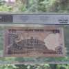 50 RUPEES NOTE RAGHU RAM RAJAN FANCY NUMBER "555555" WITH GRADING PMCS 58 GRADE - Image 2