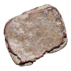 Alternative view of Lead Coin of Western Kshatrapa - Rudrasena III? (3rd Cen. AD) with Bull walking Right Rare