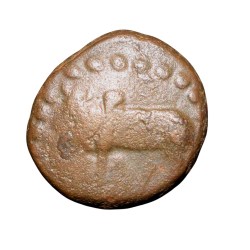 Copper Kakani of Ganapati Naga(c. 3rd Cen. AD) of Nagas Dynasty from Padmavati Bull Type