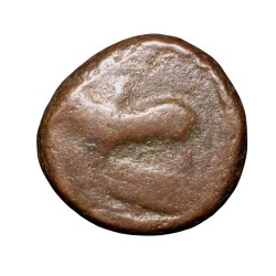 Copper Kakani of Ganapati Naga(c. 3rd Cen. AD) of Nagas Dynasty from Padmavati Bull Type