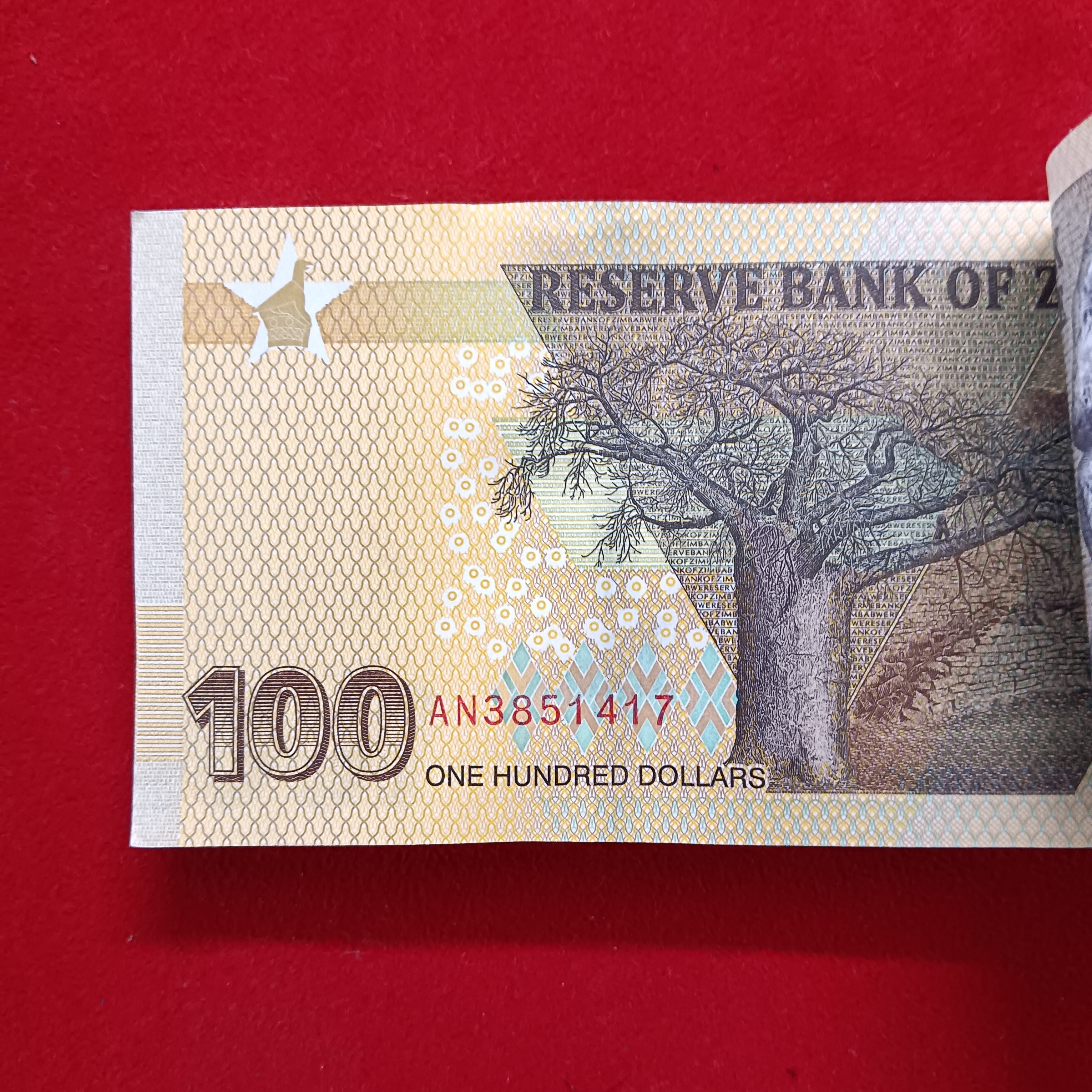 100 One Hundred Dollars Old Issue Serial Bundle Reserve Bank Of Zimbabwe Gem Bunc Condition - Image 6