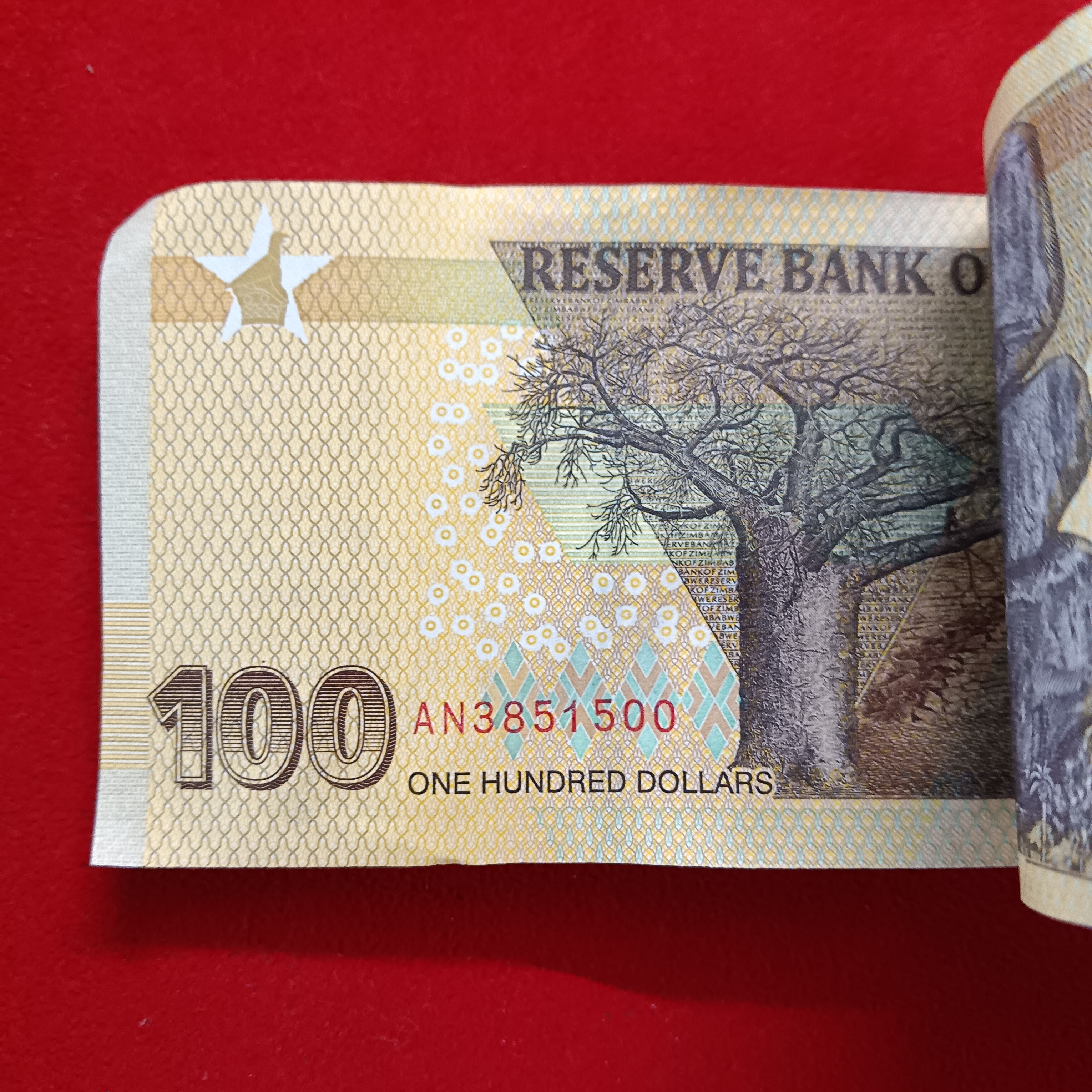 100 One Hundred Dollars Old Issue Serial Bundle Reserve Bank Of Zimbabwe Gem Bunc Condition - Image 8