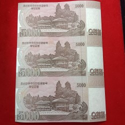 Alternative view of Extremely Rare SPECIMEN 5000 North Korean Won Uncut Note Sheet
