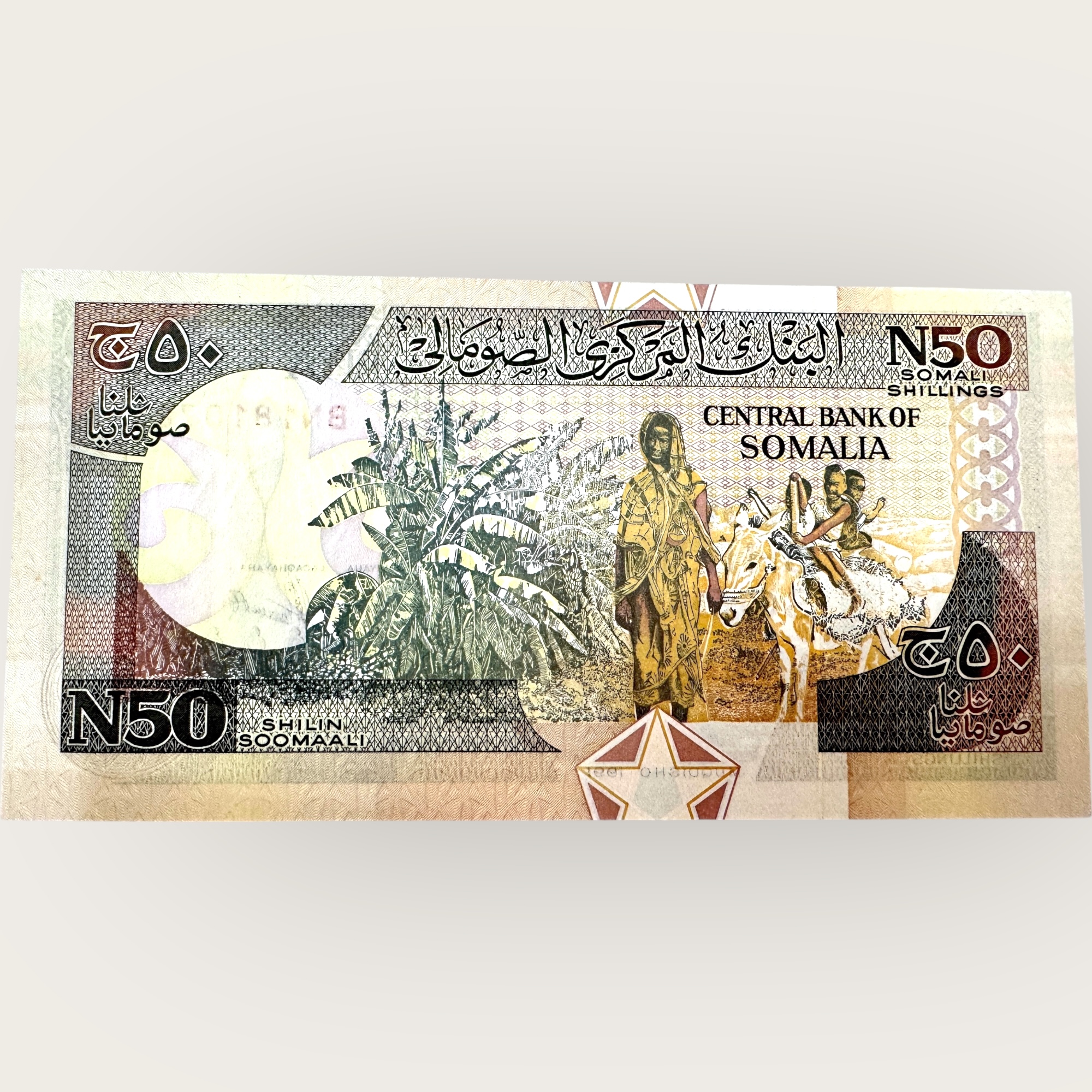 Somalia 50 Somali Shillings World Banknote Ending 786 Series Unique and Rare - Image 2