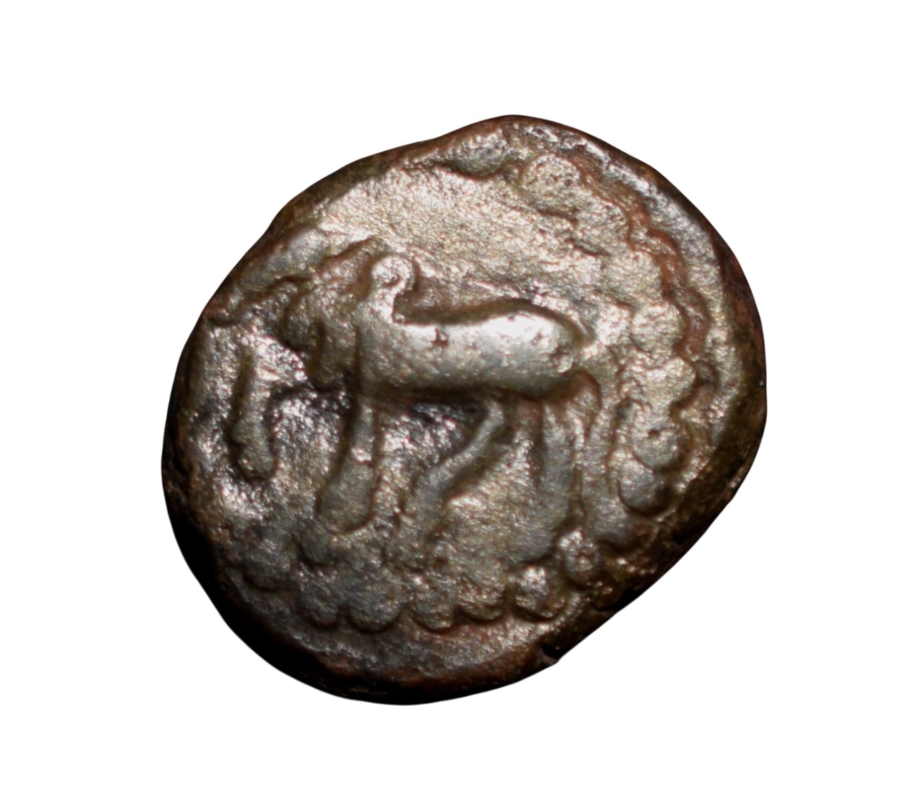 Copper Kakani of Ganapati Naga(c. 3rd Cen. AD) of Nagas Dynasty from Padmavati Bull Type