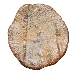 Lead Coin of Vakataka's (5th - 7th Cen. AD) with Trident on Stand Rare