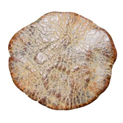 Alternative view of Lead Coin of Vakataka's (5th - 7th Cen. AD) with Trident on Stand Rare