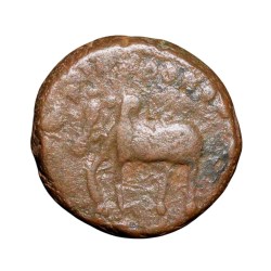 Copper Kakani of Ganapati Naga(c. 3rd Cen. AD) of Nagas Dynasty from Padmavati Bull left Type