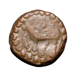 Copper Kakani of Ganapati Naga(c. 3rd Cen. AD) of Nagas Dynasty from Padmavati Bull Type