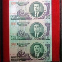 Extremely Rare North Korean 5000 Won Notes Unc Cut Note Error Sheet