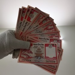 Alternative view of Five Rupees Nepal Notes 27 Pcs Given Unc Condition Nepal Rastra Bank