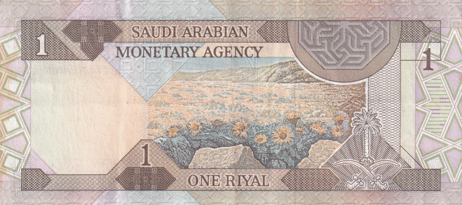 SAUDI ARABIAN 1 RIYAL LOWEST PRICE RARE NOTE - Coinbazzar.com