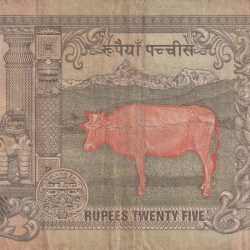 Alternative view of Nepal 25 Rupees - Birendra Bir Bikram RARE NOTE #B-2