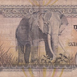 Alternative view of Nepal 1000 Rupees - Birendra Bir Bikram RARE NOTE #B-2