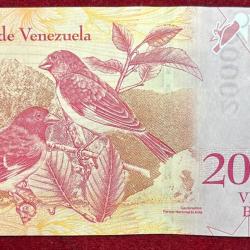 Alternative view of Venezuela 20000 Bolivares GEM UNC RARE NOTE