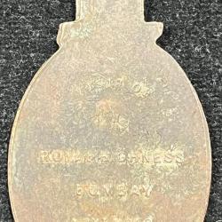 Alternative view of India - British Medal - Edward, Prince of Wales - Visit to Bombay 1921 # Z-1326