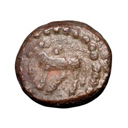 Copper Kakani of Ganapati Naga(c. 3rd Cen. AD) of Nagas Dynasty from Padmavati Bull Type