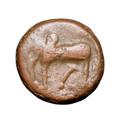 Copper Kakani of Ganapati Naga(c. 3rd Cen. AD) of Nagas Dynasty from Padmavati Bull left Type