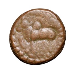 Copper Kakani of Ganapati Naga(c. 3rd Cen. AD) of Nagas Dynasty from Padmavati Bull Type