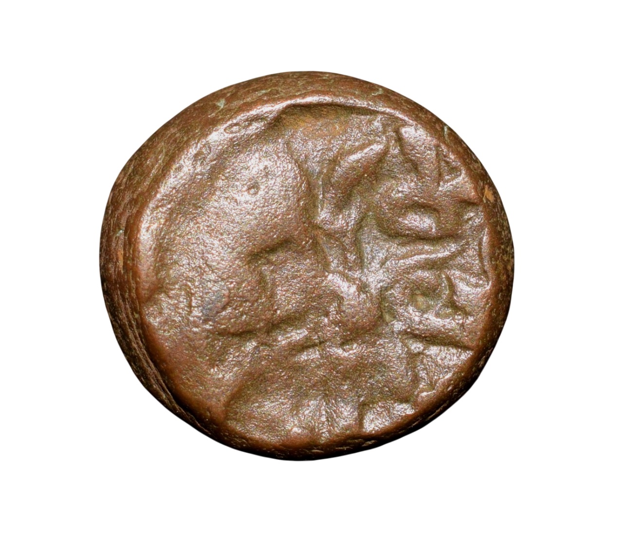 Copper Kakani of Ganapati Naga(c. 3rd Cen. AD) of Nagas Dynasty from Padmavati Bull Type - Image 2