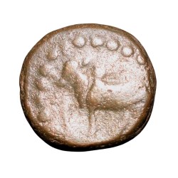 Copper Kakani of Ganapati Naga(c. 3rd Cen. AD) of Nagas Dynasty from Padmavati Bull Type