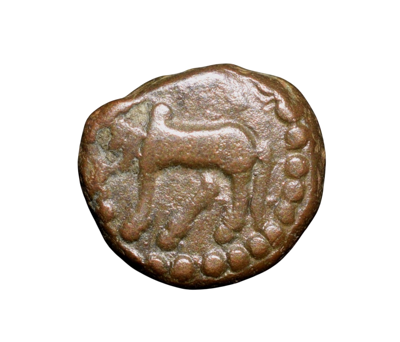 Copper Kakani of Ganapati Naga(c. 3rd Cen. AD) of Nagas Dynasty from Padmavati Bull Type