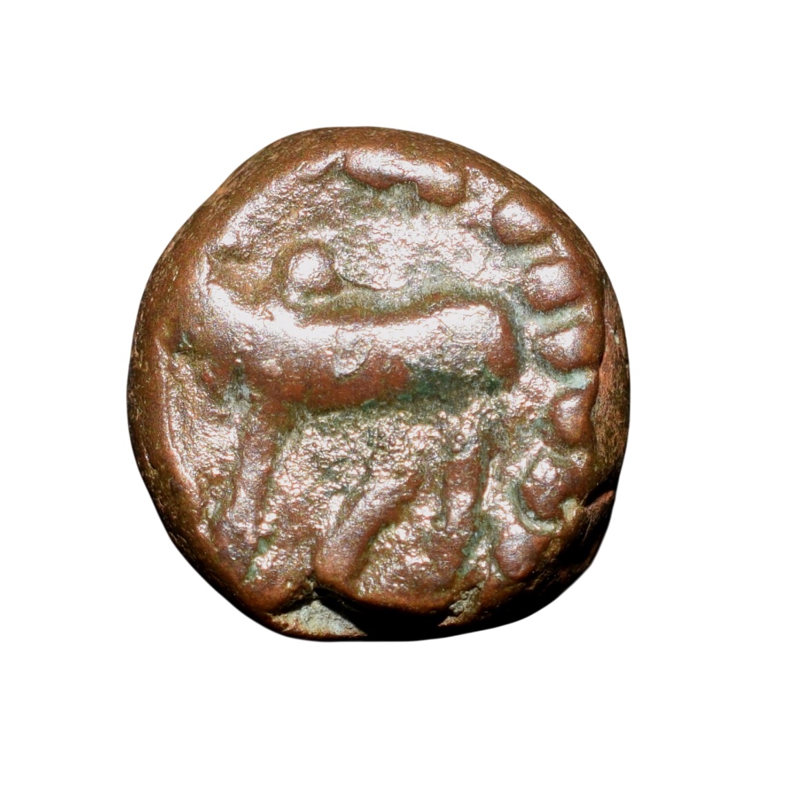 Copper Kakani of Ganapati Naga(c. 3rd Cen. AD) of Nagas Dynasty from Padmavati Bull Type