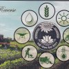 75TH ANNIVERSARY OF FOOD AND AGRICULTURE ORGANISATION 2020 MUMBAI MINT 1 COIN ((PROOF SET)) - Image 2