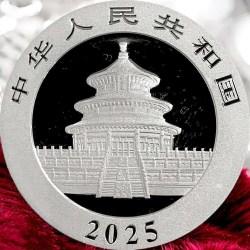 Alternative view of 10 YUAN China Panda Pure Silver Issue Very Unique and Rare 2025 Latest Limited Strike