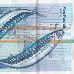 Alternative view of Scotland 5 Pound Polymer Note