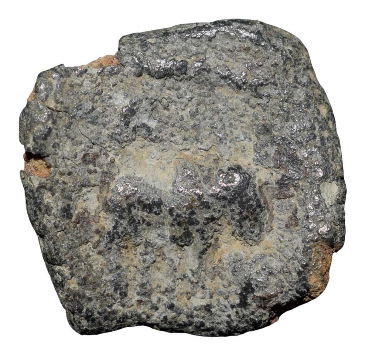 Lead Coin of Post-Satavahana (1st Cen. AD) from Nashik Region with Bull walking Right