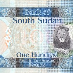 100 Sudanese Pounds of South Sudan (AD 2015-2019) with Lion, and Waterfall