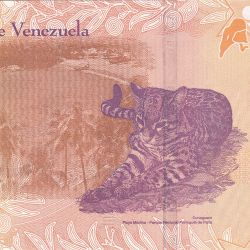 Alternative view of 50 Bolivares of Venezuela Country (AD 2018) with Foreground Ocelot (leopardus paradalis)
