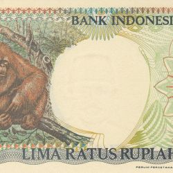 500 Rupiah of Indonesia (AD 1992) with Orang Utan resting on limb