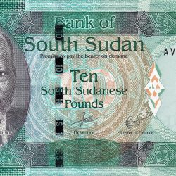 Alternative view of 10 Sudanese Pounds of South Sudan (AD 2015-2016) with Wild Buffalo & Pineapple