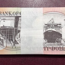 Alternative view of 20 dollar Guyana 100 notes bundle #1