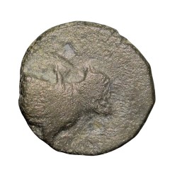 Copper-Alloy Coin of Bhimavarman(3rd Cen. AD) of Magh Dynasty of Kausambhi Bull/Tree & Brahmi Legends