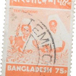 Postal Stamp of Bangladesh Orange Colour 75 Poisha - Tea Plucking - Used Condition as per Image.