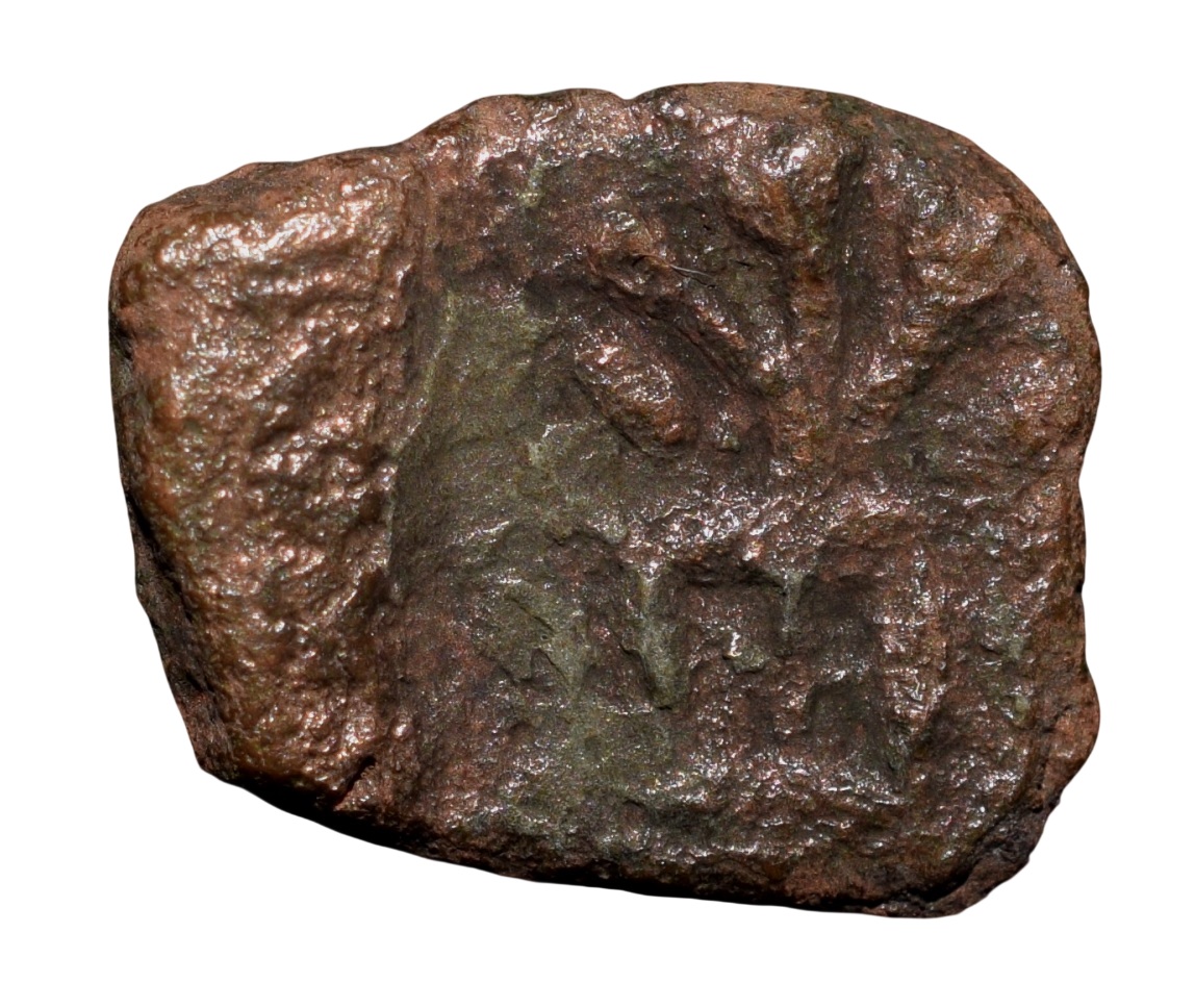 Copper Coin of Ancient Ujjaini(2nd Cen. BC) with Tree in 4-Compertment Railing/Ujjaini