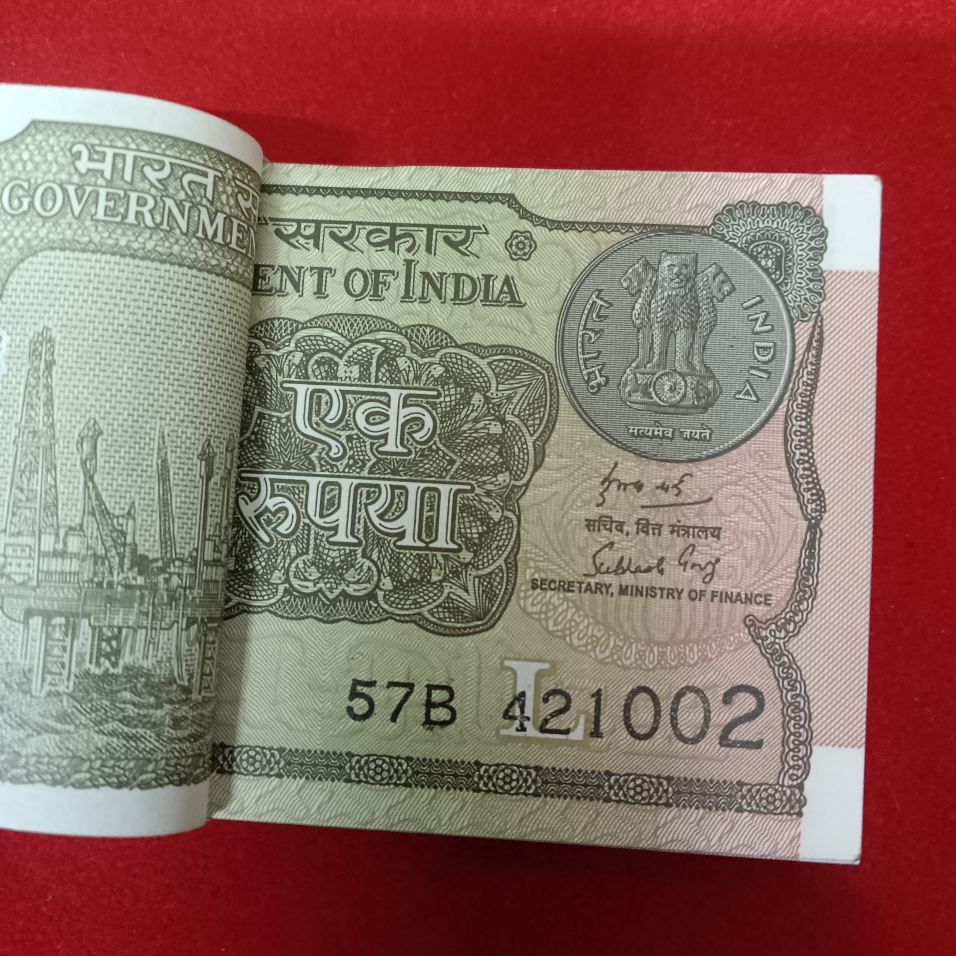 One Rs Full Bundle Finance SECRETARY Subhash Garg Year 2019 Gem Bunc Condition 421001 - Image 2