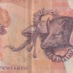 Alternative view of Papua New Guinea 20 Kina reduced size Rare World Polymer Note #B2