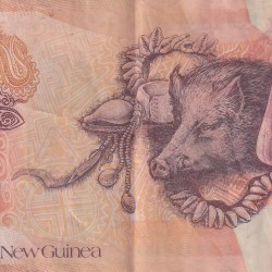 Alternative view of Papua New Guinea 20 Kina reduced size Rare World Polymer Note #B2