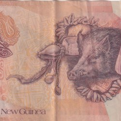 Alternative view of Papua New Guinea 20 Kina reduced size Rare World Polymer Note #B2