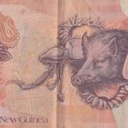 Alternative view of Papua New Guinea 20 Kina reduced size Rare World Polymer Note #B2