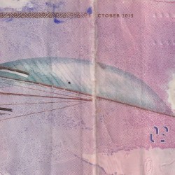 Alternative view of Maldives 20 Rufiyaa Rare Polymer World Note#B2