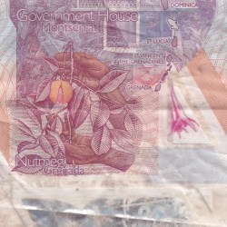 Alternative view of Eastern Caribbean States 20 Dollars rare Polymer World Note #B2