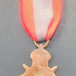 Alternative view of First World War 1914-1915 (Old Republica) Medal #D-222