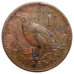 Bronze 1 Penny of Elizabeth II (AD2000) from Gibraltar Country with Barbary partridge Bird Rare